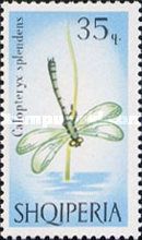 Banded Demoiselle (Calopteryx splendens), male