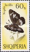 Hungarian Glider (Neptis rivularis)