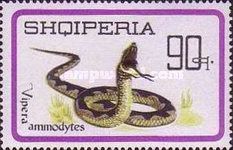 Horned Viper (Vipera ammodytes)