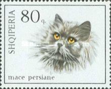 Persian Cat (Felis silvestris catus)