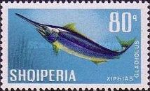 Swordfish (Xiphias gladius)