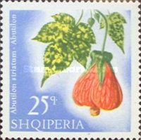 Redvein Abutilon (Abutilon pictum)