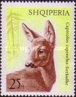 Western Roe Deer (Capreolus capreolus)