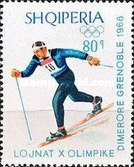 Cross-country Skiing