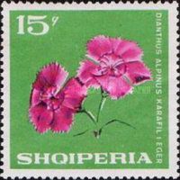 Alpine Pink (Dianthus alpinus)