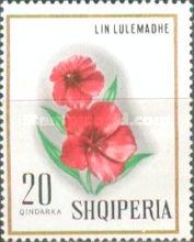 Red Flax (Linum grandiflorum)