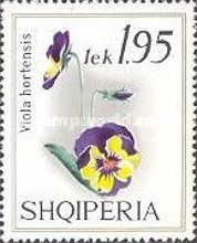 Pansy (Viola tricolor hortensis)