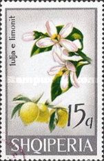 Lemon (Citrus limon)