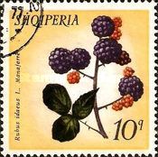 Blackberries
