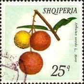 Strawberry-Tree Fruit