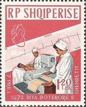 Nurses with cardiac patient and electrocardiogram
