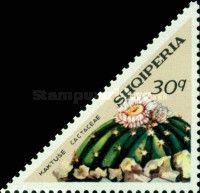 Neobesseya rosiflora