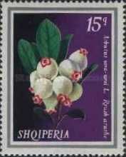Bearberry (Arbutus uva-ursi)