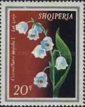 Lily of the Valley (Convallaria majalis)