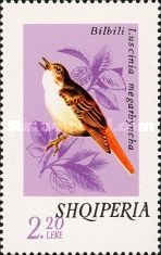 Common Nightingale (Luscinia megarhynchos)