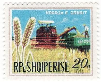 Grain Harvester Combine