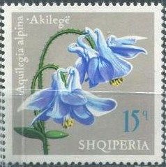Alpine Columbine (Aquilegia alpina)