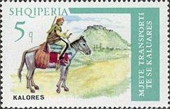 Horse (Equus ferus caballus) with Rider