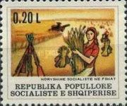 Militia Woman Helping with Harvest