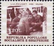 Red Poppies on Walls (1976), directed by Dhimitër Anagnosti