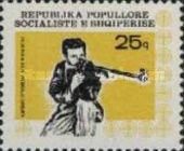 ‭Machine Carbine Shooting