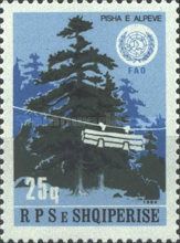 Pine forest (Pinus spp.), logging cable