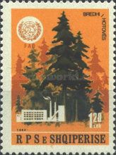 Firs (Abies spp.), sawmill