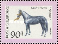 Nonius Horse (Equus ferus caballus)