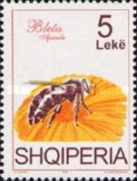 Honey Bee (Apis mellifica) on Flower