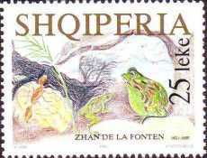Insect, doves, frogs