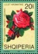 Virginia Rose (Rosa virginiana)