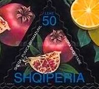Pomegranate (Punica granatum)
