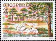 Divjakë-Karavasta National Park