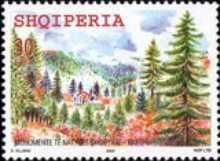 Fir of Hotova National Park