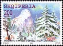 Fir tree, Drenova