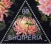Dahlia (Dahlia spp.)