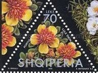 Moss Rose (Portulaca grandiflora), Yellow flowers