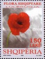 Corn Poppy (Papaver rhoeas)