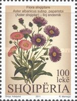 Aster albanicus