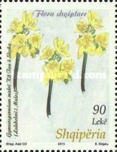 Berberis (Gymnospermium maloi)