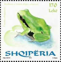 Common Tree Frog (Hyla arborea)