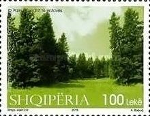 Fir of Hotova National Park