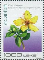 St. John's Wort (Hypericum perforatum)