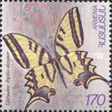 Southern Swallowtail (Papilio alexanor)