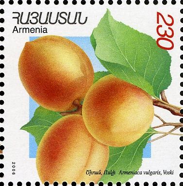 Voski Apricots (Armeniaca vulgaris)
