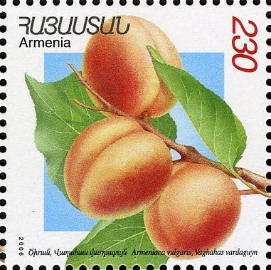 Vahaas Vardaguin Apricots (Armeniaca vulgaris)
