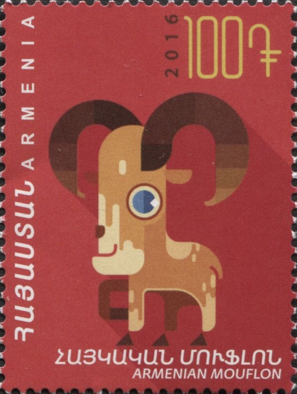 Armenian Mouflon (Ovis gmelini gmelini)