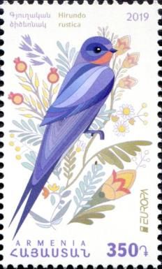 Barn Swallow (Hirundo rustica)