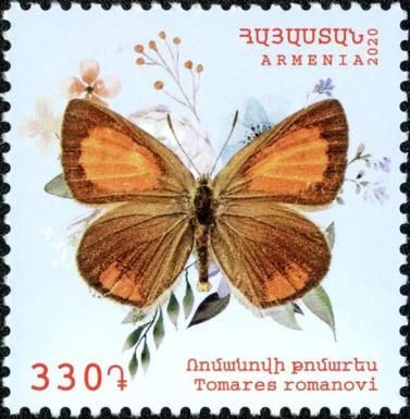 Romanoff's Hairstreak (Tomares romanovi)