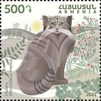 Pallas's Cat (Otocolobus felis manul)